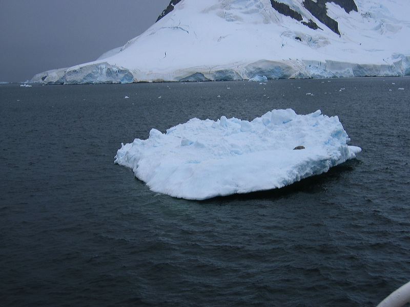 img_1250.jpg