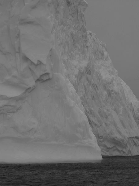 img_1411.jpg