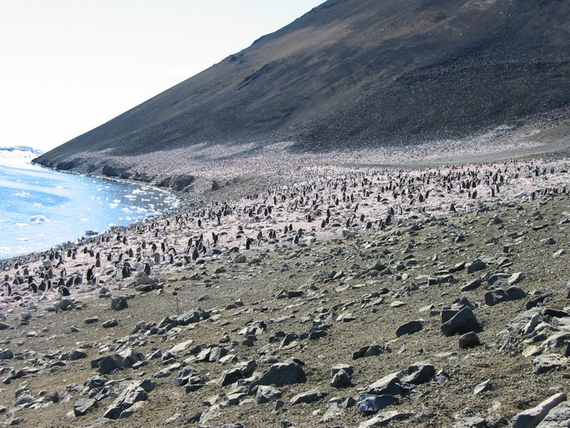 ximg_0959.jpg