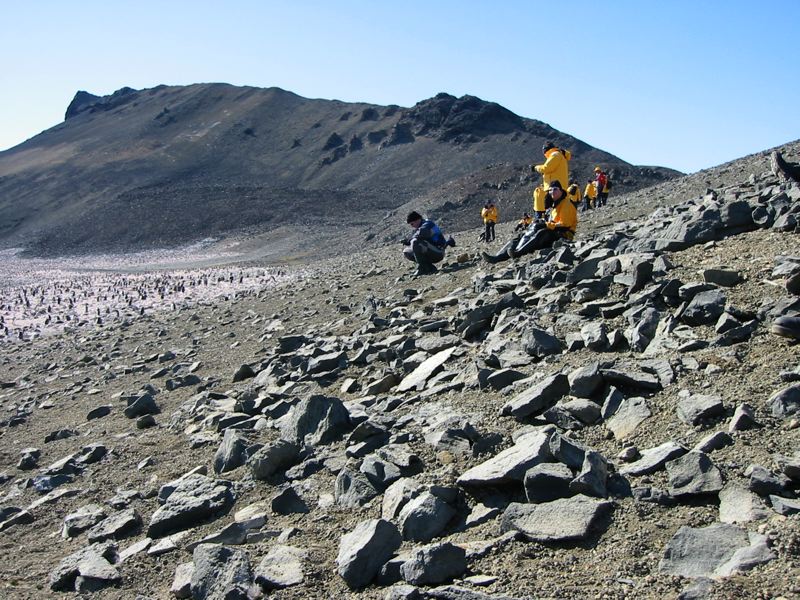 ximg_0960.jpg