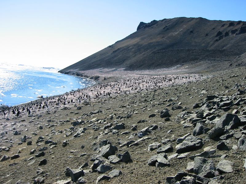 ximg_0961.jpg