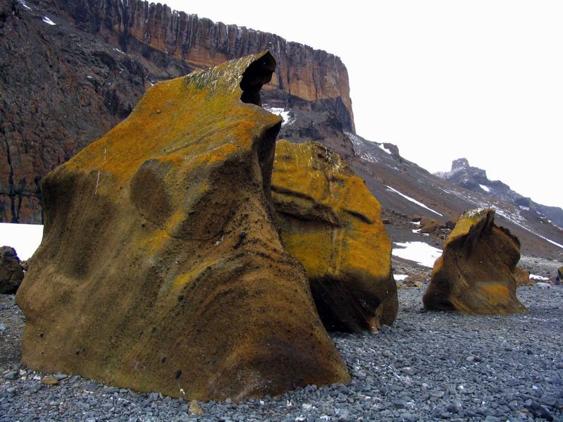 antarctica2_129.jpg