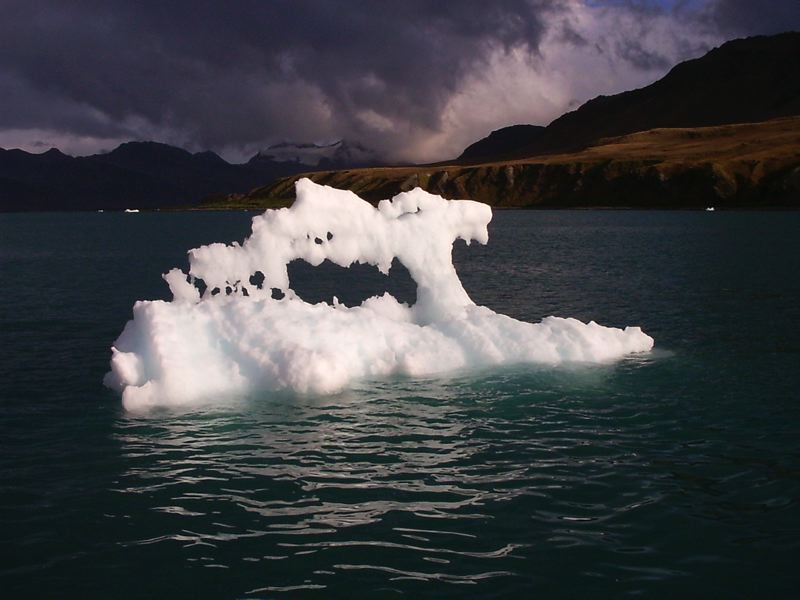 grytviken_south_georgia_020.jpg