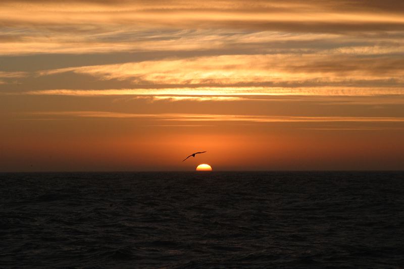 img_2625.jpg