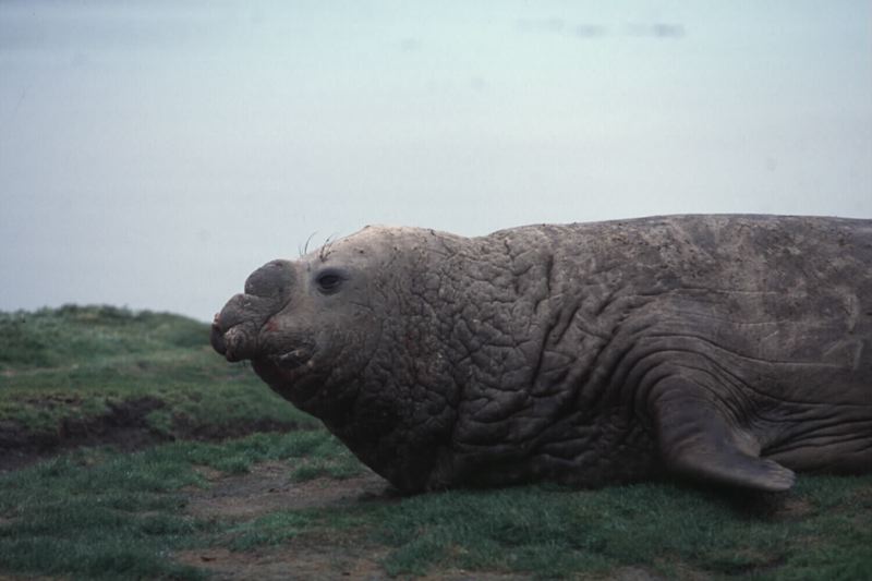 kr0004-05.jpg