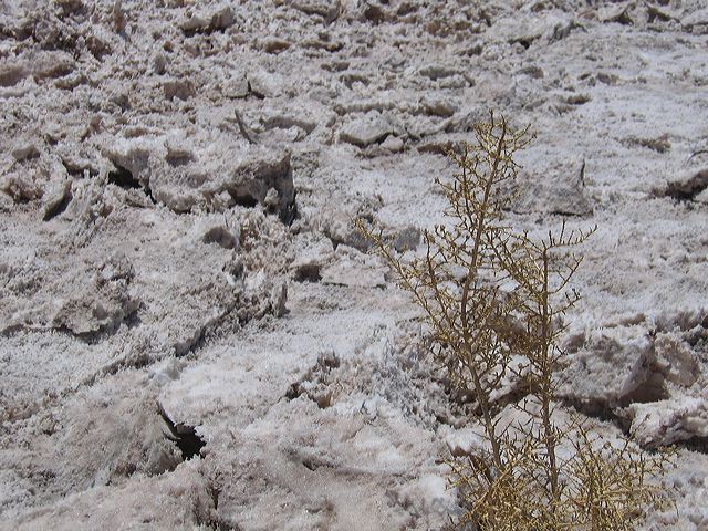img_0327.jpg