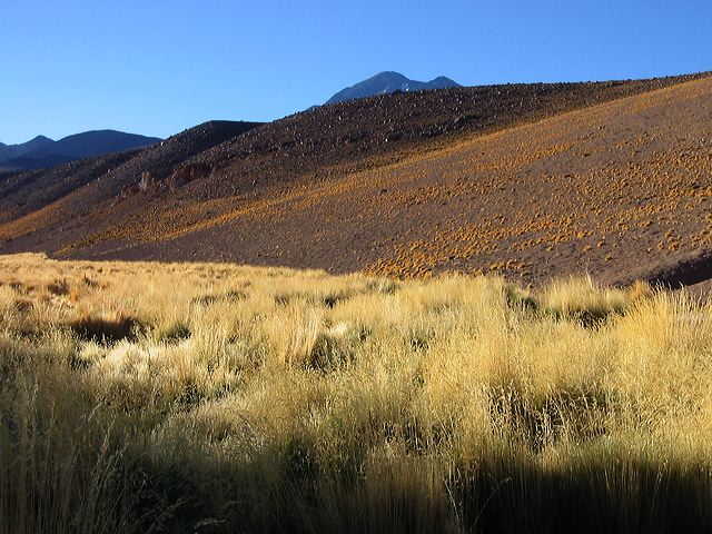 img_0082.jpg