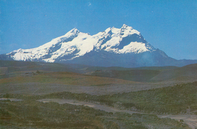 chimborazod