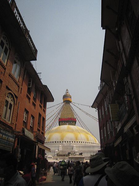 img_1866.jpg