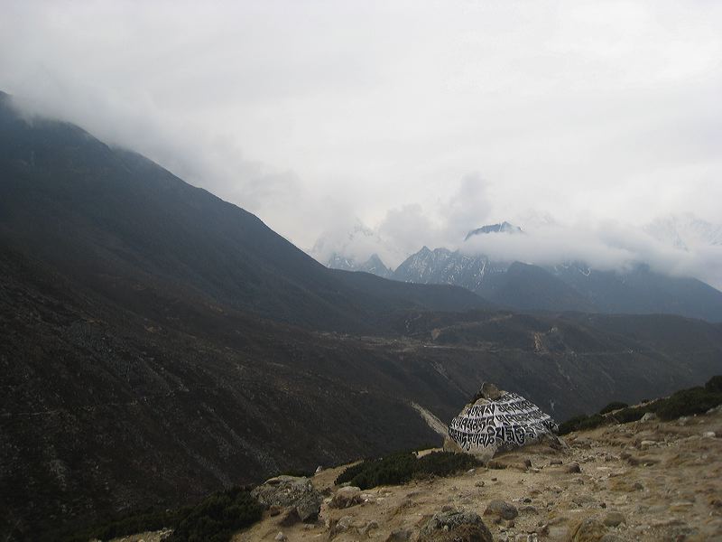img_2247.jpg
