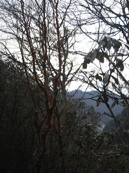 img_2340.jpg