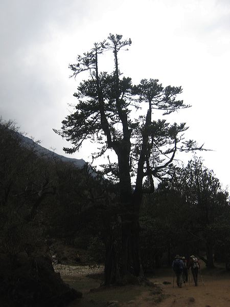 img_2348.jpg