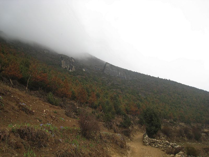 img_2399.jpg