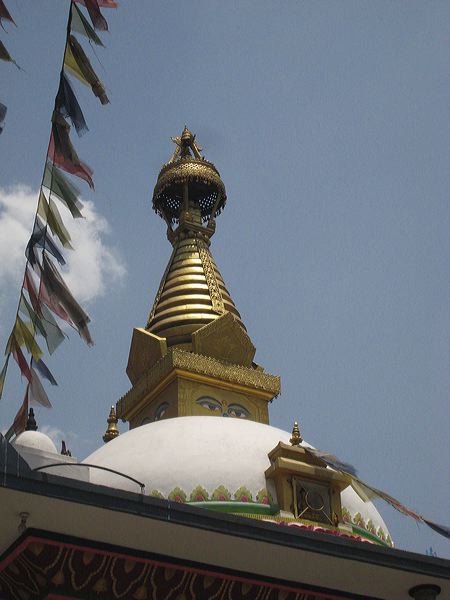 img_2504.jpg