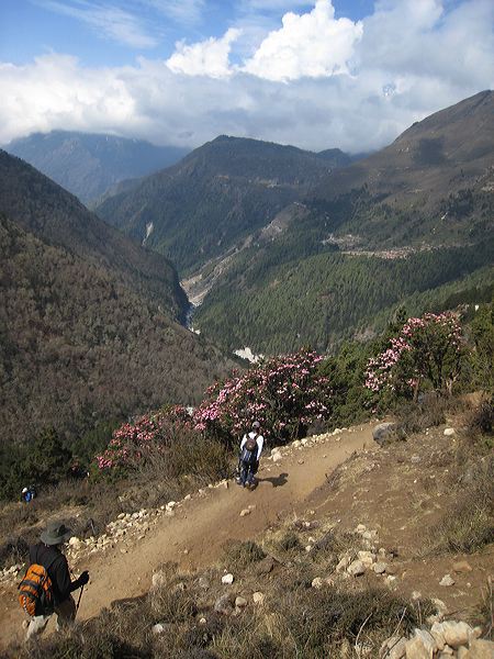img_0612.jpg