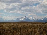img_2979