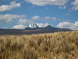img_2980