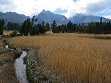 img_2991