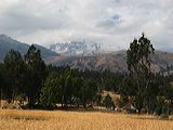 img_2992