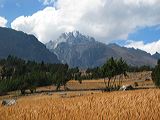img_2993