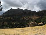 img_3007