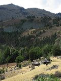 img_3008