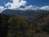 img_3038