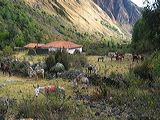 img_3055