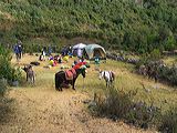 img_3056