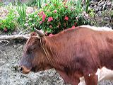 img_3061