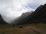 img_3065