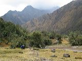 img_3066