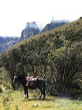 img_3069