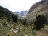 img_3070