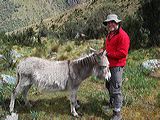 img_3074