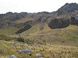 img_3081
