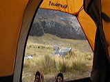 img_3089