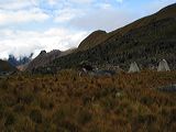 img_3100