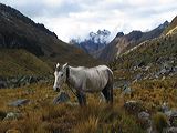 img_3102