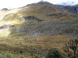 img_3104
