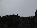 img_3113
