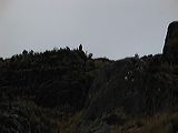 img_3114