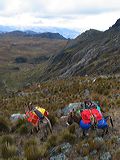 img_3125