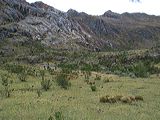 img_3130