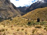img_3138