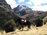 img_3146