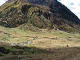 img_3163