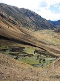 img_3165