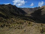 img_3181