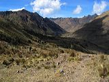 img_3182
